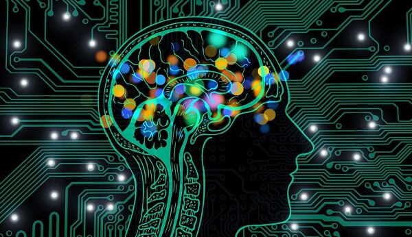 cerveau humain et circuit imprimé 